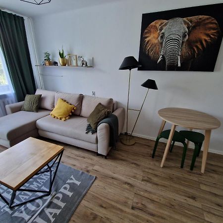 Sienkiewicza Apartament Multi House Rzeszow Exterior photo
