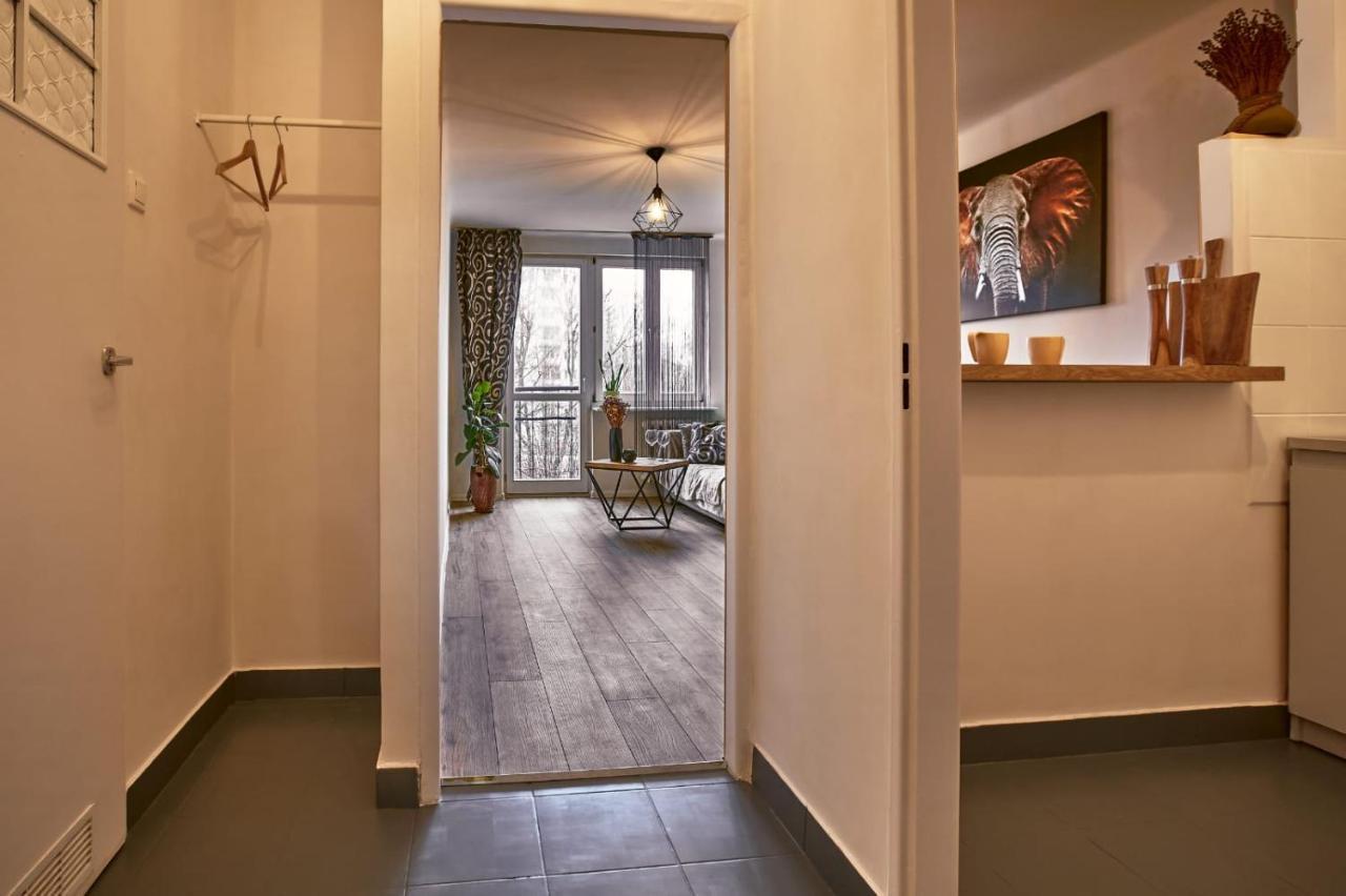 Sienkiewicza Apartament Multi House Rzeszow Exterior photo